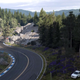 A screenshot from Gran Turismo 7 depicting a racetrack curving through a forest-y location.